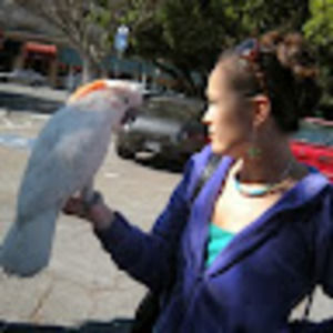 Meet your Posher, Alexis